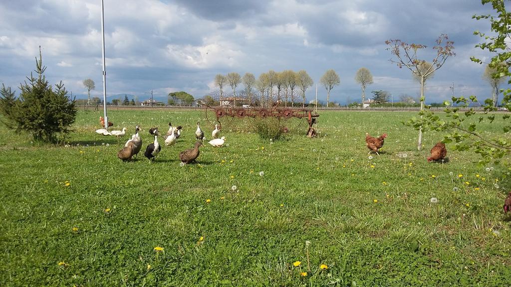 B&B Al Vecchio Confine Cervignano del Friuli Exterior foto